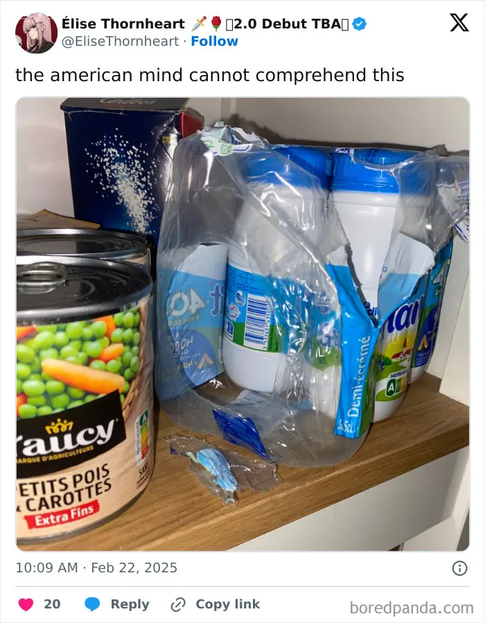 Plastic yogurt container pack with empty center, demonstrating a confusing product design for the American mind.