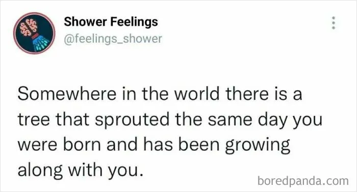 50 Thoughts You Might Not’ve Had In The Shower Yet But Could Occupy Your Brain Next Time You’re There
