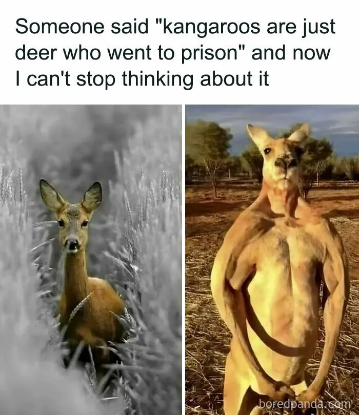 50 Funny, Relatable, And Just Silly Memes From This Instagram Account (New Pics)