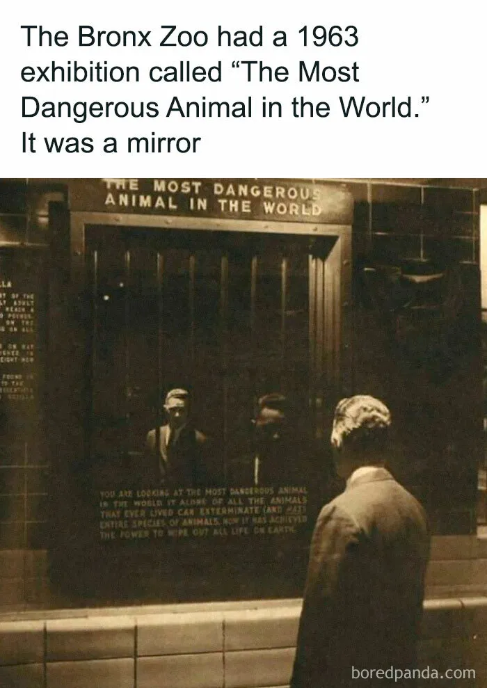 50 Creepy Facts About The World We Live In That Prove Reality Is Scarier Than Fiction