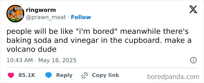 40 Funniest Tweets People Posted On X In May