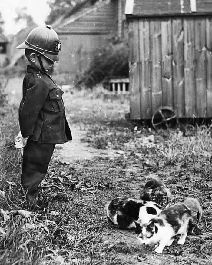 47 Adorable Vintage Photos Showcasing The Timeless Bond Between Kids And Cats, As Collected By This Page
