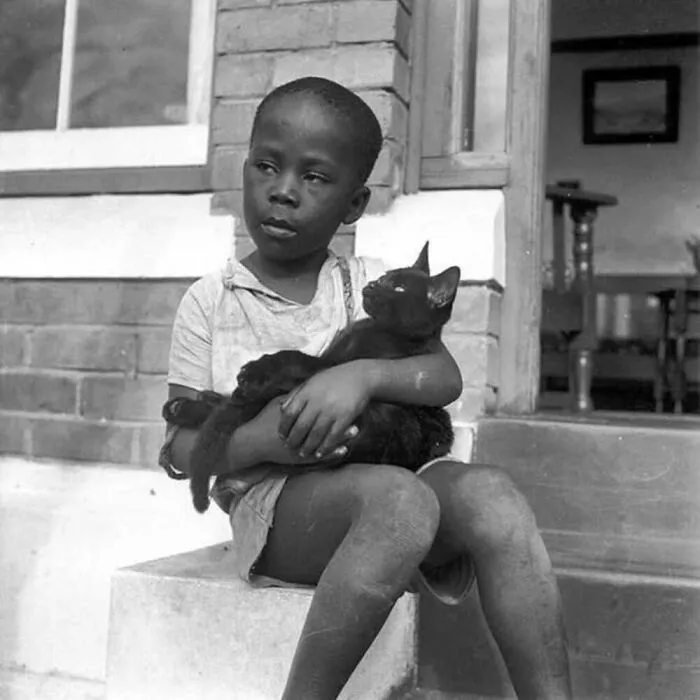 47 Adorable Vintage Photos Showcasing The Timeless Bond Between Kids And Cats, As Collected By This Page