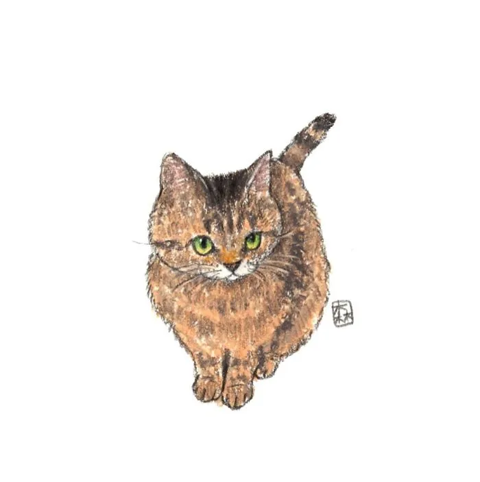 Korean Artist Started To Draw Cats 3 Years Ago, Now She Has The Most Adorable Collection (45 Pics)