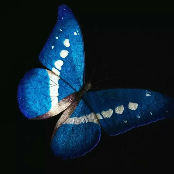 43 Incredible Hand-Sized Moths And Butterflies Made Out Of Fibers By Yumi Okita