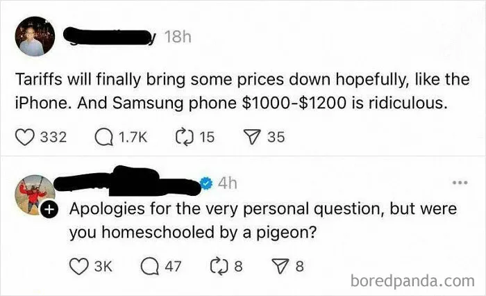 Homeschooled By A Pigeon