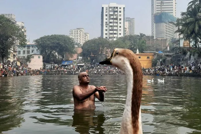 Finalist: "Pitru Paksh" By Saksham Srivastava (India)