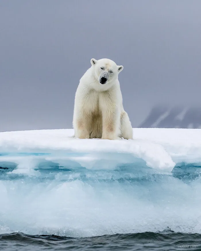 The Photographer Dedicated To Marine Conservation Captured These 30 Captivating Pics