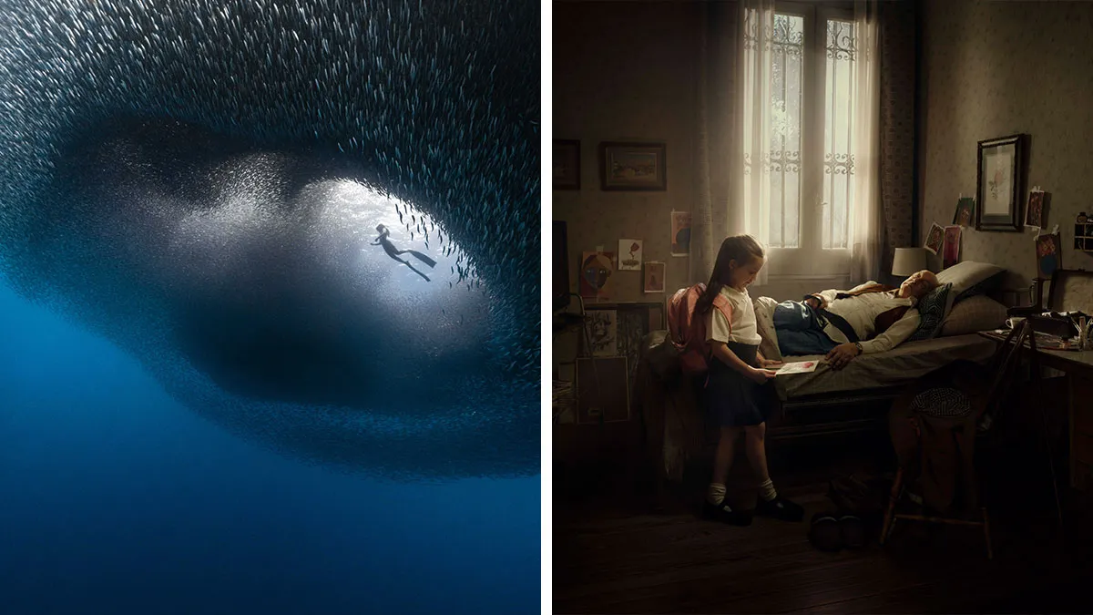 20 Striking Images From The 2025 IPA’s Finalists