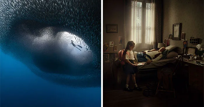20 Striking Images From The 2025 IPA’s Finalists