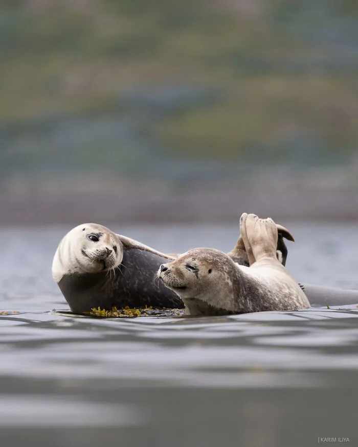 The Photographer Dedicated To Marine Conservation Captured These 30 Captivating Pics