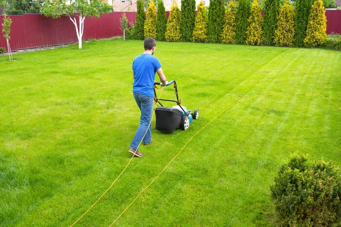 50 Tiny Signs That Quietly Scream “Middle-Class Life”