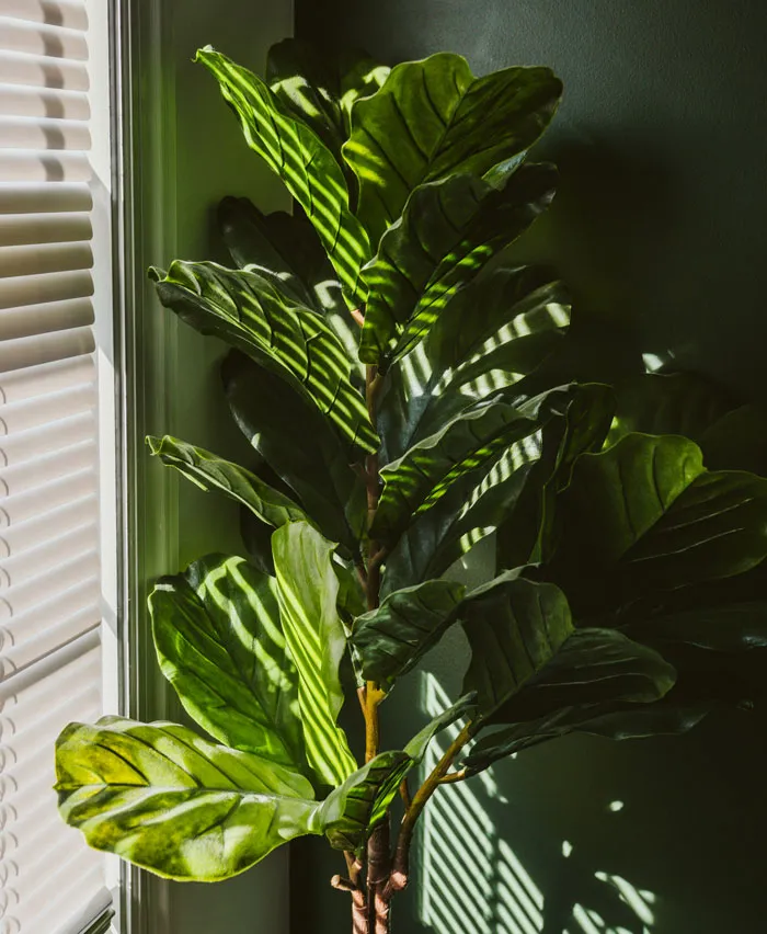 40 Childhood Rules That Would Make Any Therapist Lean Forward In Their Chair