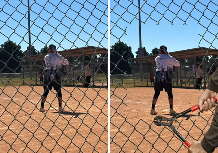 Can One Of Y'all Remove The Fence, Please?