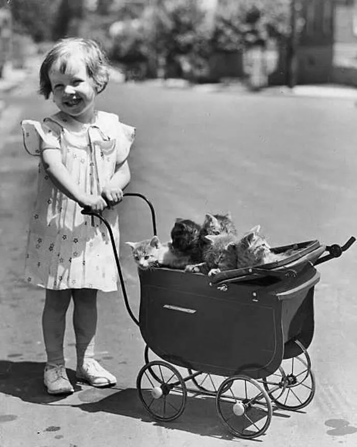47 Adorable Vintage Photos Showcasing The Timeless Bond Between Kids And Cats, As Collected By This Page