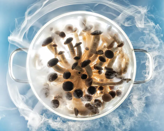 Production Paradise Previously Published: Sky Mushrooms By Diego Papagna, Italy
