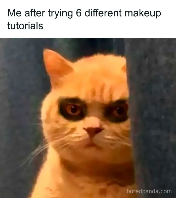 Cat with dark makeup around eyes, looking unimpressed, humorously illustrating sarcastic memes about makeup fails.