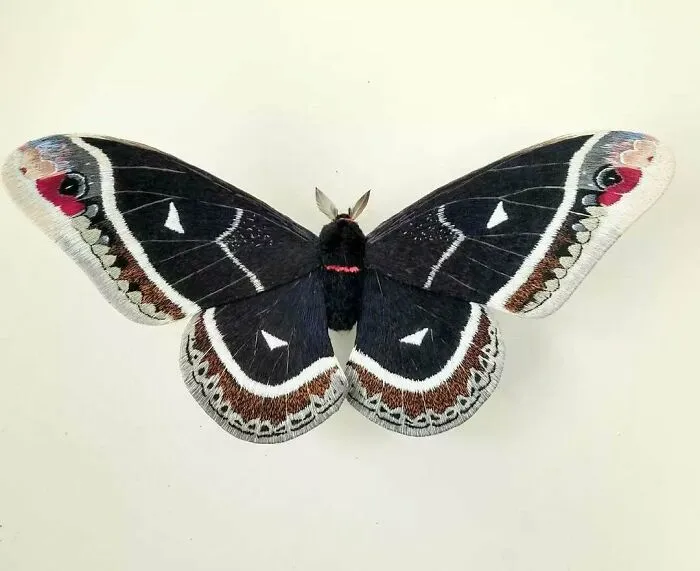 43 Incredible Hand-Sized Moths And Butterflies Made Out Of Fibers By Yumi Okita