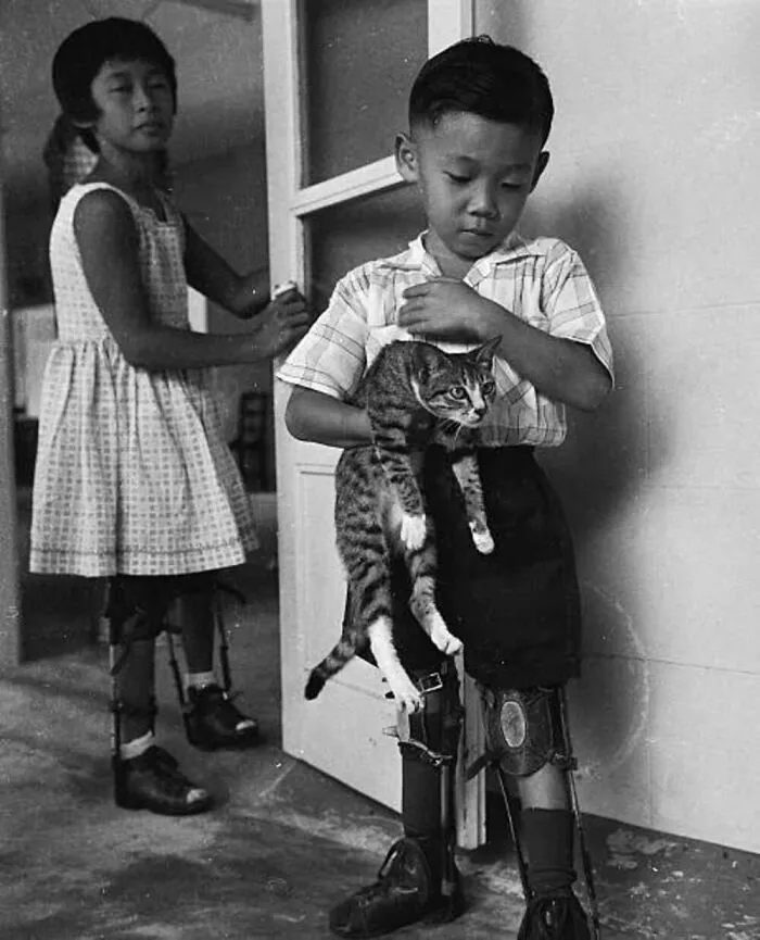 47 Adorable Vintage Photos Showcasing The Timeless Bond Between Kids And Cats, As Collected By This Page