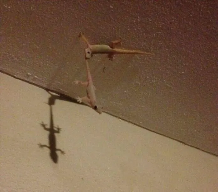 30 Cursed Images That Might Keep You Up At Night