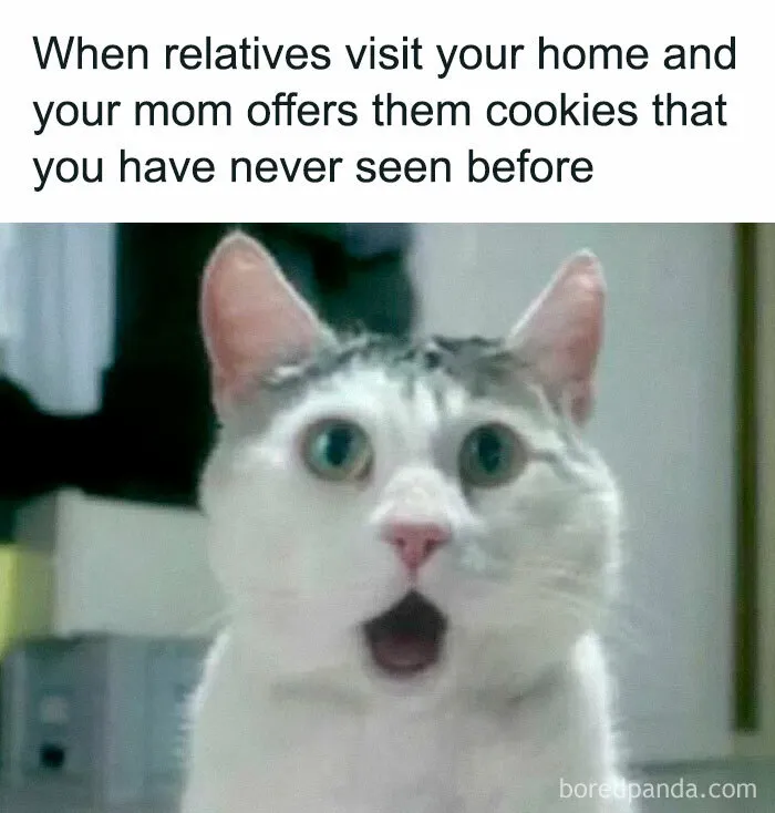 Need A Laugh? These 50 Memes Might Just Do The Trick (New Pics)