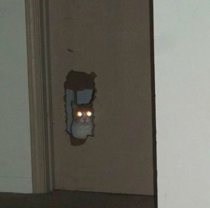 30 Cursed Images That Might Keep You Up At Night