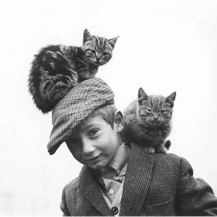 47 Adorable Vintage Photos Showcasing The Timeless Bond Between Kids And Cats, As Collected By This Page