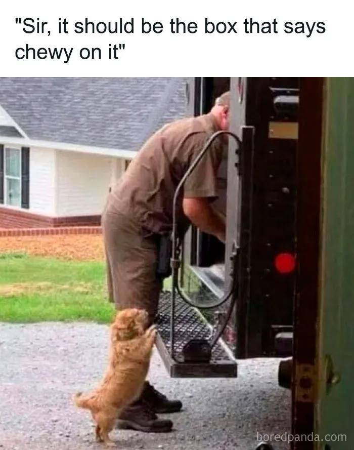 ‘The Daily Laughs’: 50 Ridiculously Good Memes To Improve Your Day