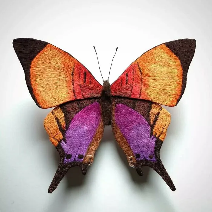 43 Incredible Hand-Sized Moths And Butterflies Made Out Of Fibers By Yumi Okita