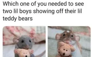 50 Unhinged Tumblr Posts That Are Just The Right Kind Of Chaotic (New Pics)