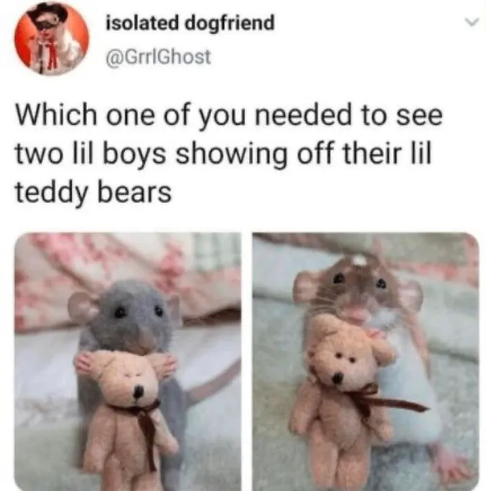 Tumblr-Is-Life-Fb-Pics