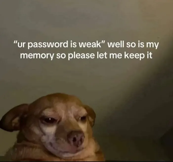 Funny meme with a smirking dog and text about weak passwords and forgetful memory to lighten a hard day.