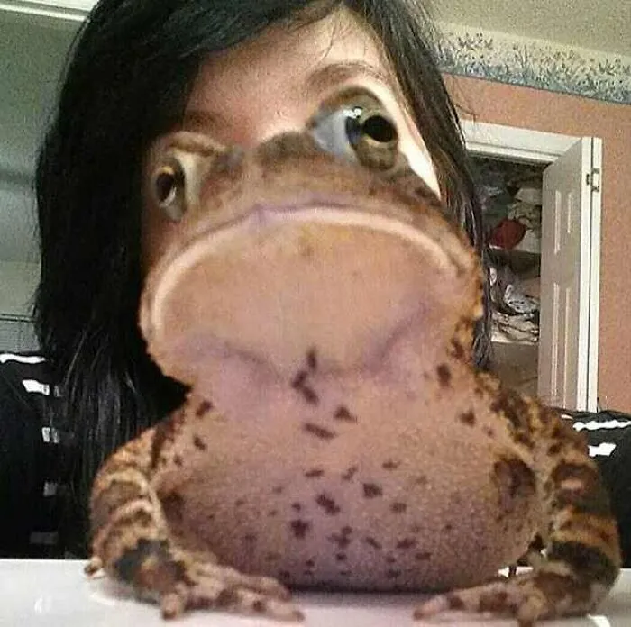 30 Cursed Images That Might Keep You Up At Night