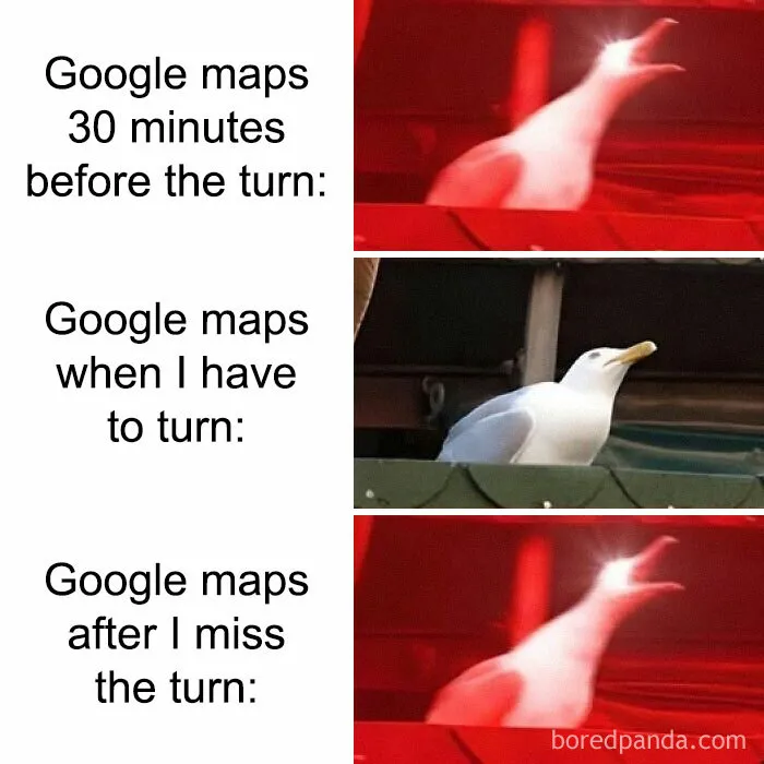 Need A Laugh? These 50 Memes Might Just Do The Trick (New Pics)