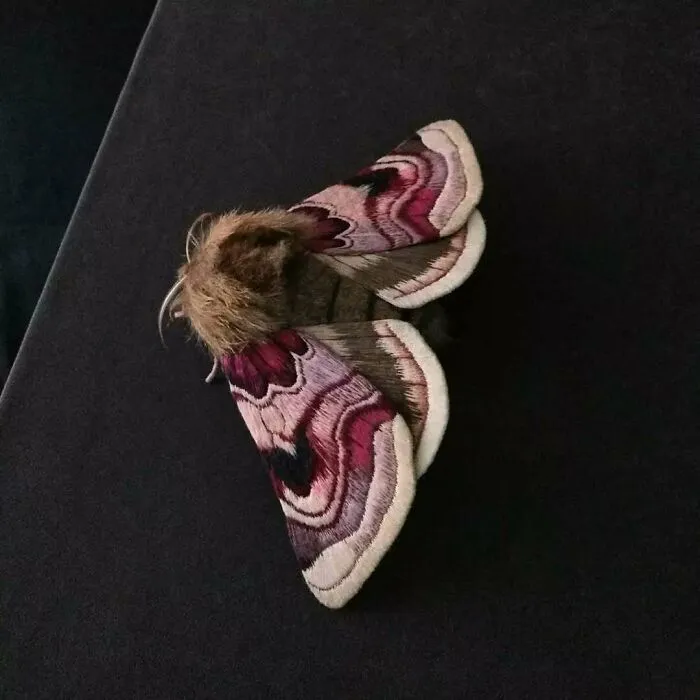 43 Incredible Hand-Sized Moths And Butterflies Made Out Of Fibers By Yumi Okita