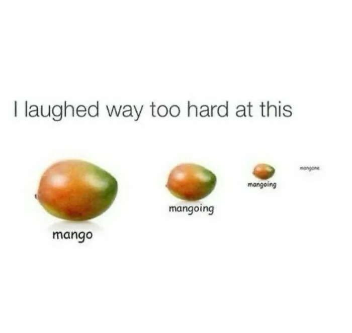 Funny memes showing different sizes of mangoes with playful text mangos, mangoing, and mangone.