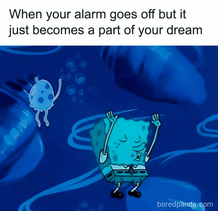 Need A Laugh? These 50 Memes Might Just Do The Trick (New Pics)
