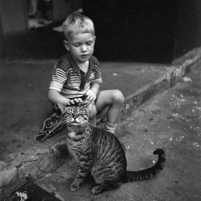 47 Adorable Vintage Photos Showcasing The Timeless Bond Between Kids And Cats, As Collected By This Page