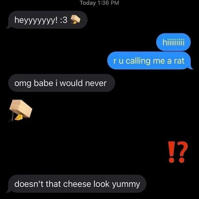 Text message meme with playful conversation about a rat and cheese, featuring funny emojis and reaction marks, fitting funny memes theme.