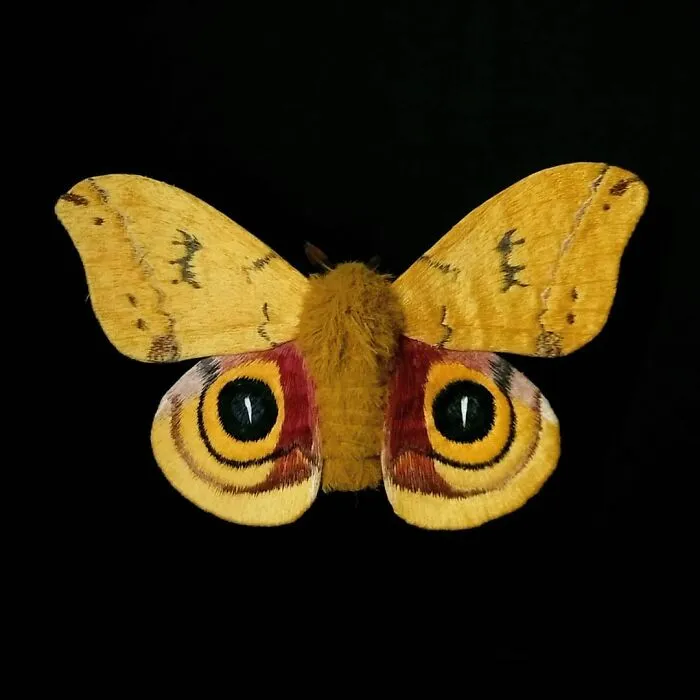 43 Incredible Hand-Sized Moths And Butterflies Made Out Of Fibers By Yumi Okita