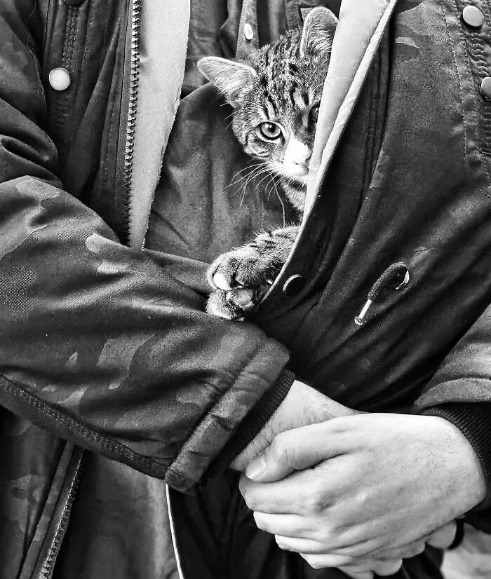 40 New B&W Photos That Capture The Beauty And Essence Of Our World, Shared By This Instagram Page