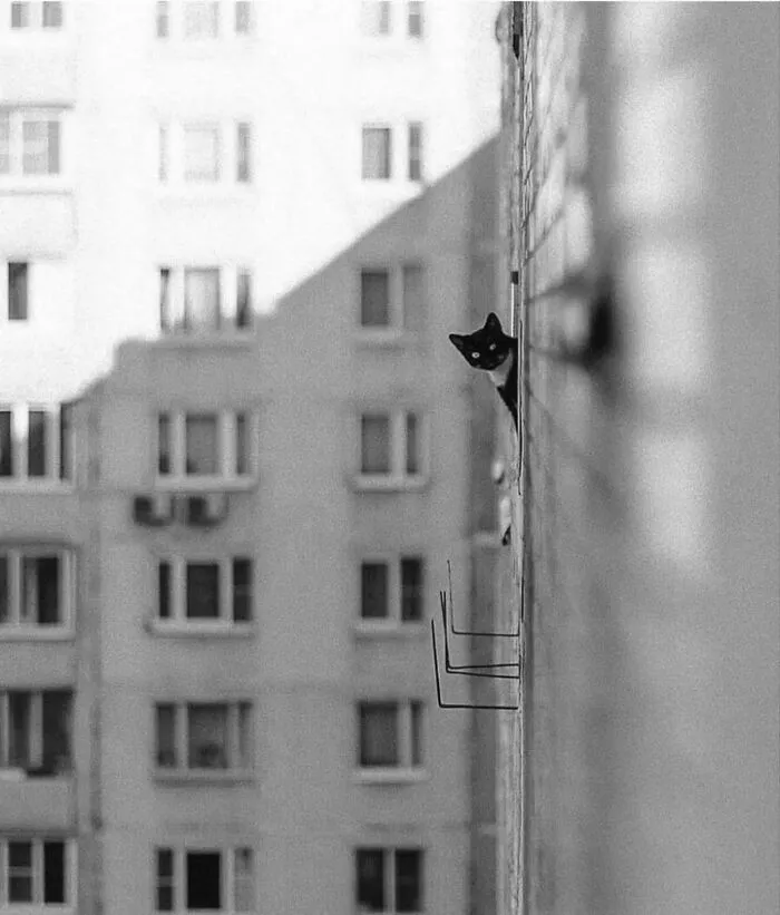 40 New B&W Photos That Capture The Beauty And Essence Of Our World, Shared By This Instagram Page
