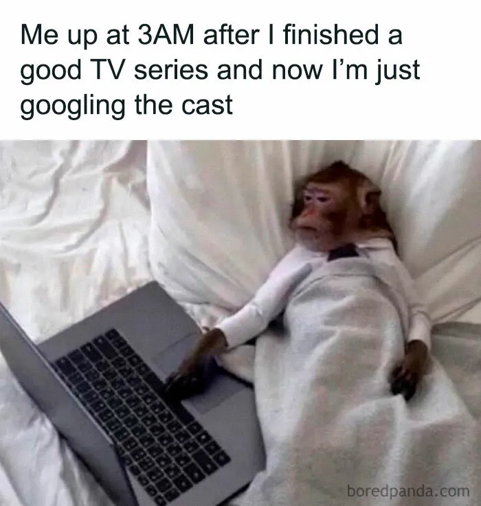 Need A Laugh? These 50 Memes Might Just Do The Trick (New Pics)