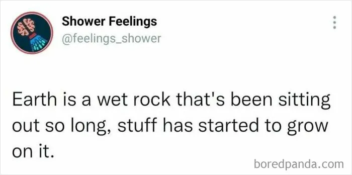 Tweet from Shower Feelings about earth being a wet rock with stuff growing on it, a thought to occupy your brain in the shower.