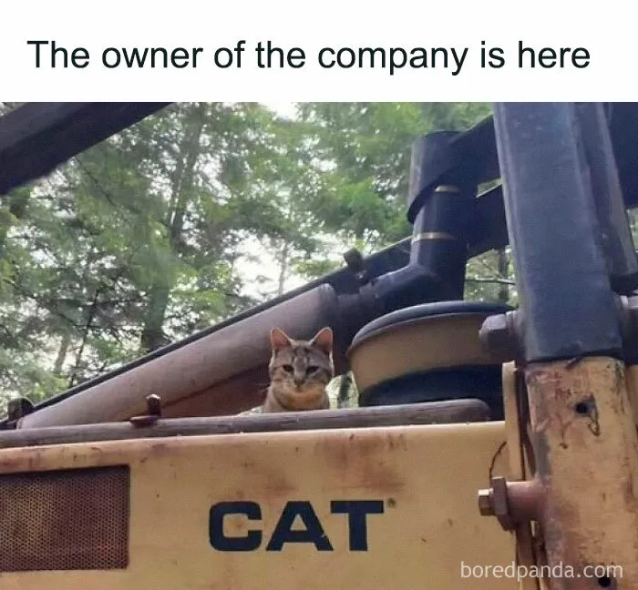 Need A Laugh? These 50 Memes Might Just Do The Trick (New Pics)