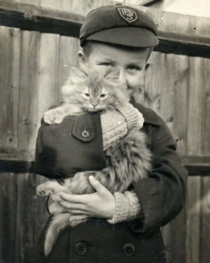 47 Adorable Vintage Photos Showcasing The Timeless Bond Between Kids And Cats, As Collected By This Page