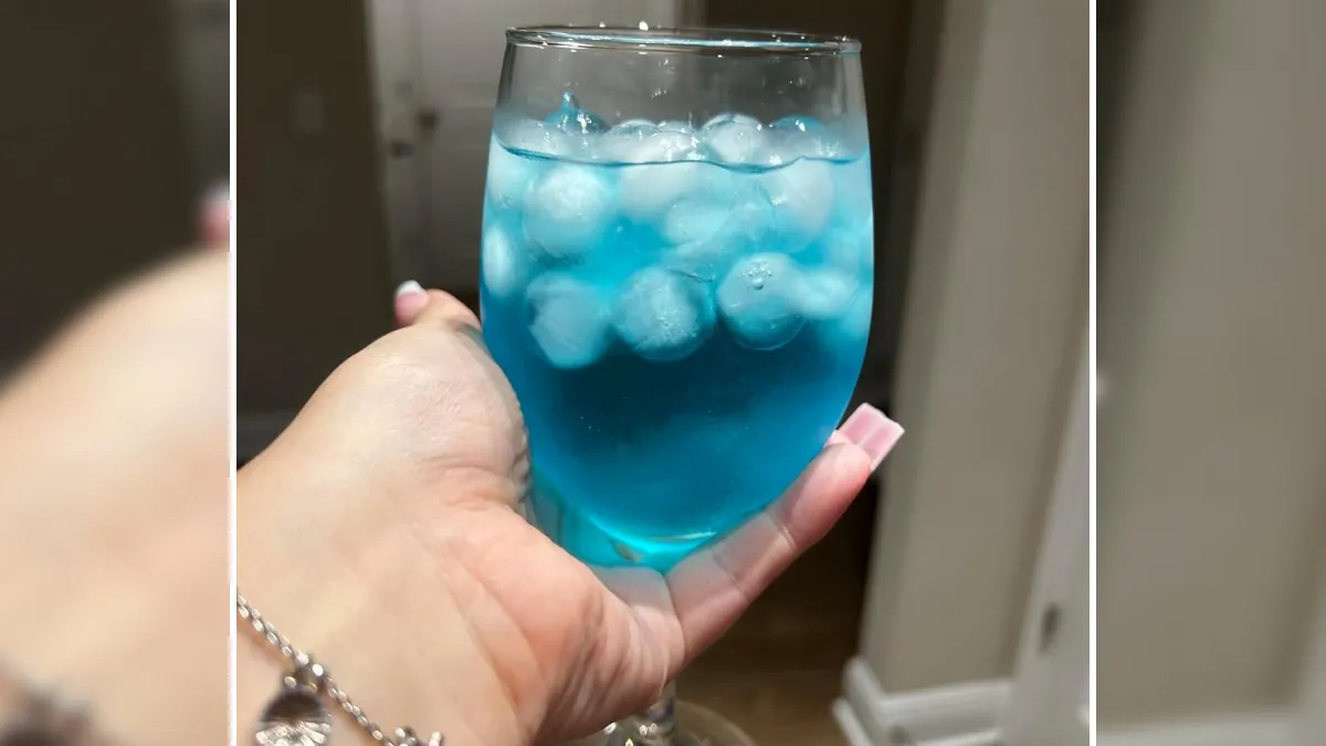 24 Of Our Favorite TikTok Finds For Those Who Refuse To Download The App. We Got You!