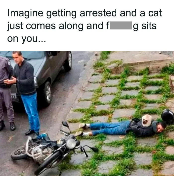 F**k You Specifically