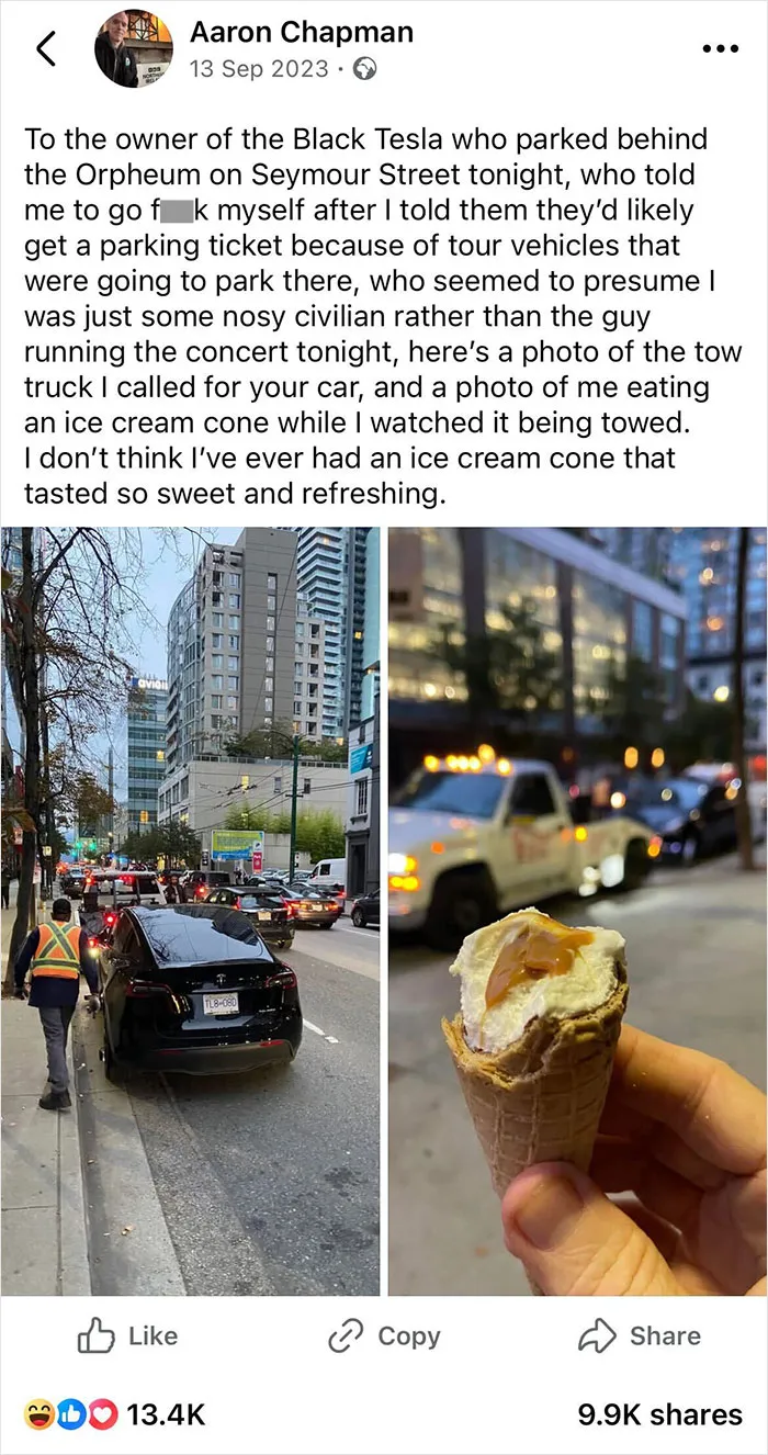F**k You, Tesla Owner
