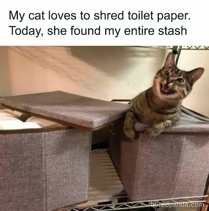 If You Need A Laugh Today, These 50 Memes Can Make That Happen (New Pics)